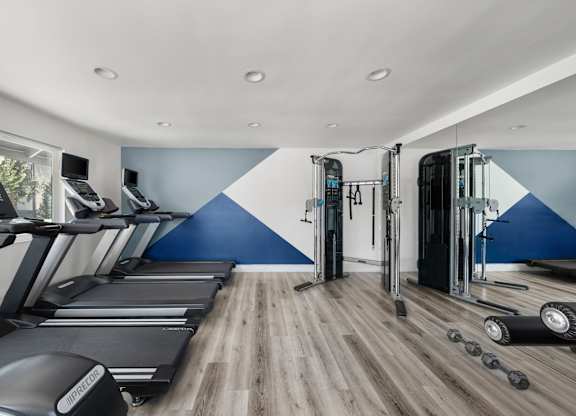 A gym with treadmills, elliptical machines, and dumbbells.