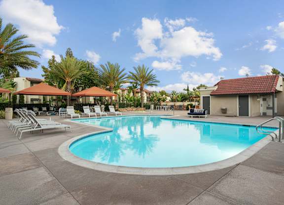 A large swimming pool surrounded by lounge chairs and palm trees.