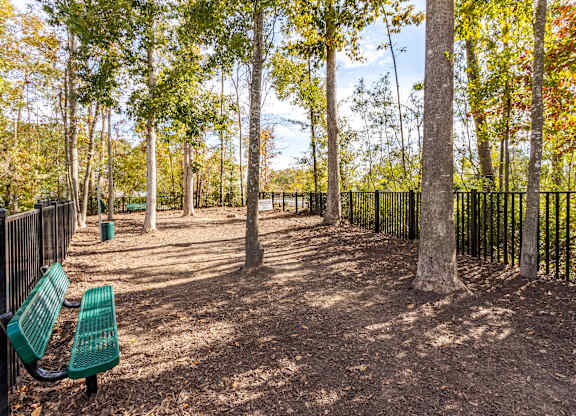 A park with a bench and trees.