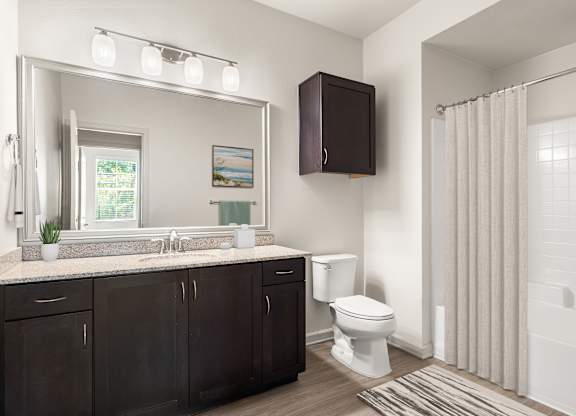 A bathroom with a white toilet and a sink with a mirror above it.