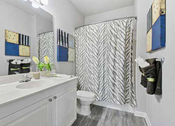A bathroom with a white sink and a shower curtain with a zig zag pattern.