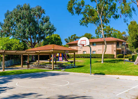 A basketball court is surrounded by a grassy area and trees.