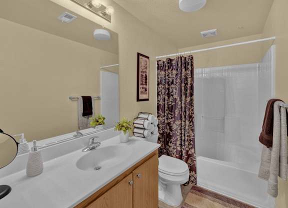 Bathroom at Terra Vista Apartments