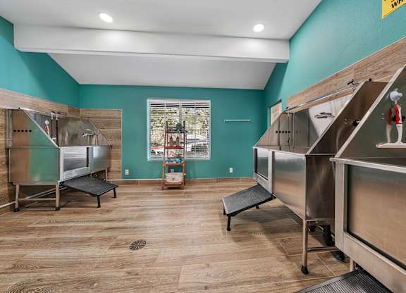 On-site pet wash area designed for resident convenience.