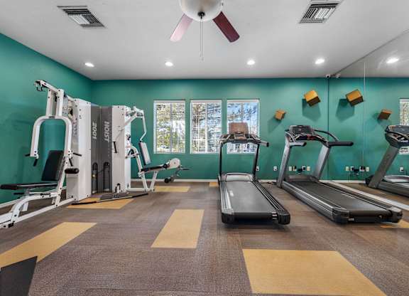 Well-equipped fitness center for health and wellness.