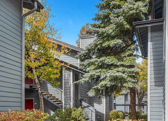 Charming apartment homes surrounded by nature.