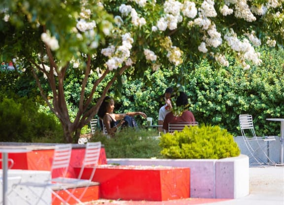a group of people sitting at a table in a park