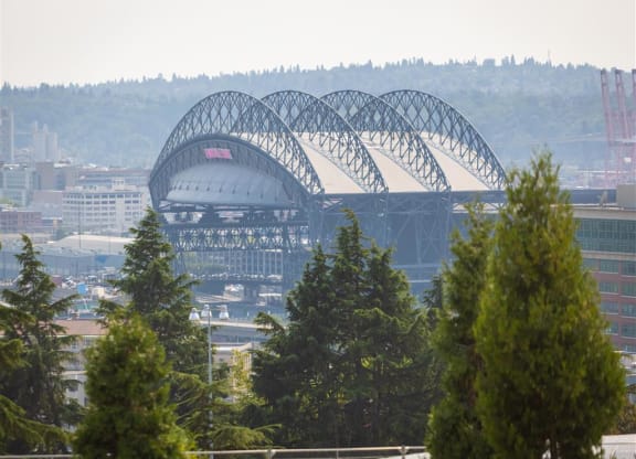 a view of the olympic stadium in seattle