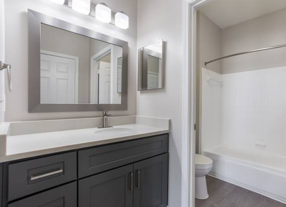 A bathroom with a white sink and a large mirror.