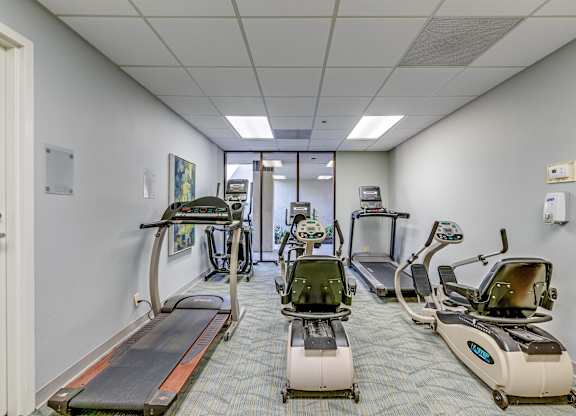 A row of treadmills and elliptical machines in a gym.