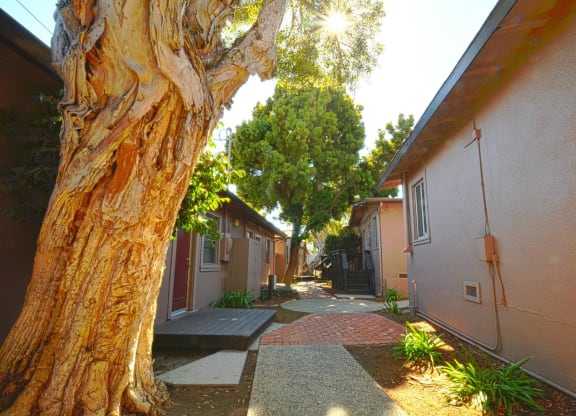 Exterior Path