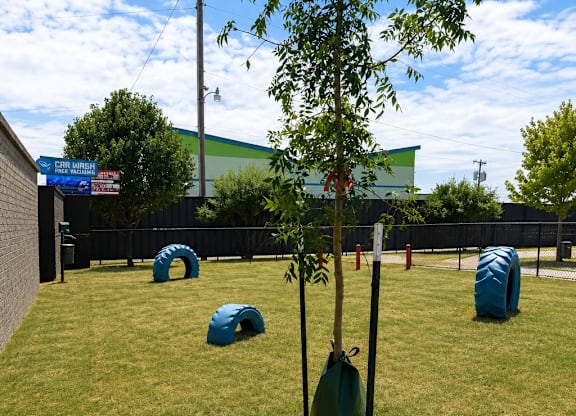 A tree in a pot stands in a grassy field.