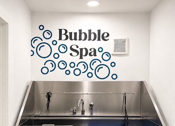 A stainless steel double sink kitchen with a Bubble Spa sign on the wall.
