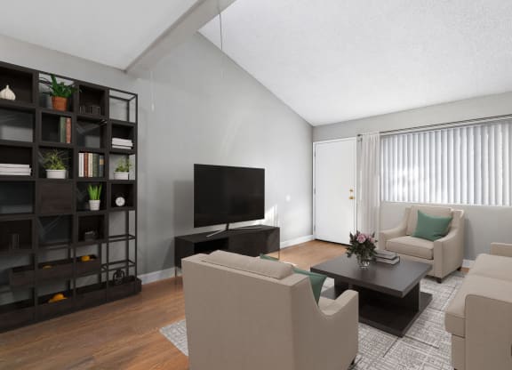 a living room with couches and a coffee table and a television