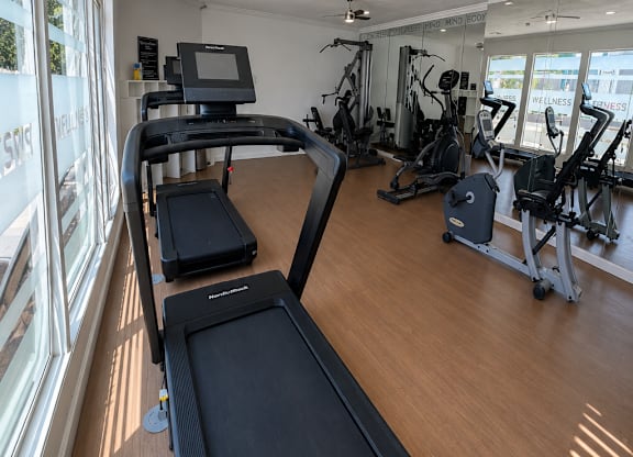 A treadmill is in the foreground of a gym with a row of treadmills and exercise bikes in the background.