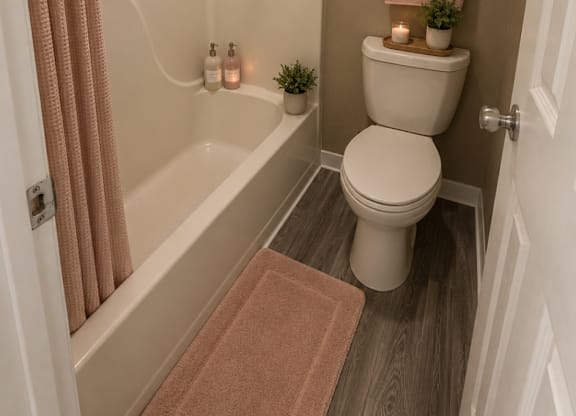 A small bathroom with a toilet, a bathtub, and a rug.