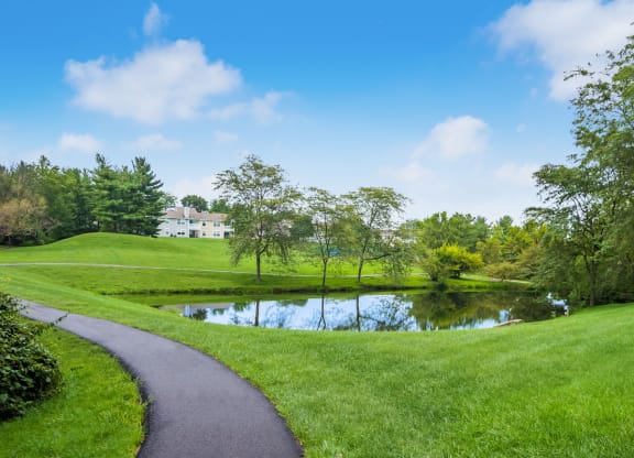 Scenic Pathways