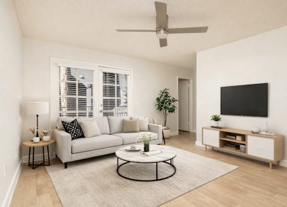 A living room with a white couch, a coffee table, a TV, and a plant.