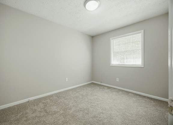 A room with a carpeted floor and a window.