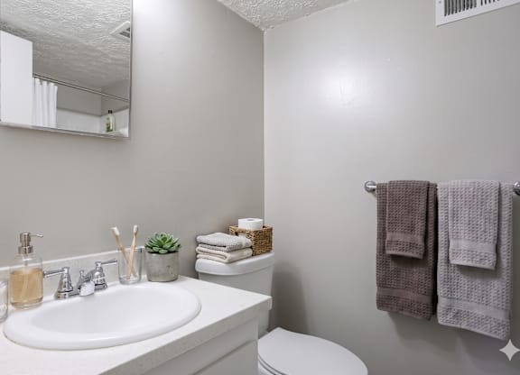 A bathroom with a white sink, toilet, and a mirror.