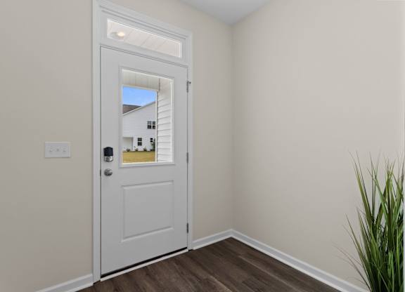 A white door with a glass window is in a room with a plant.