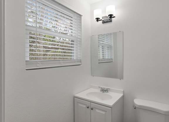 a bathroom with a sink and a mirror and a window