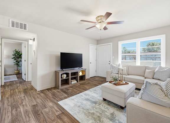 A living room with a television, couch, and a rug.
