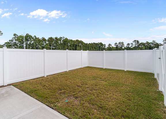 A white fence encloses a grassy yard.