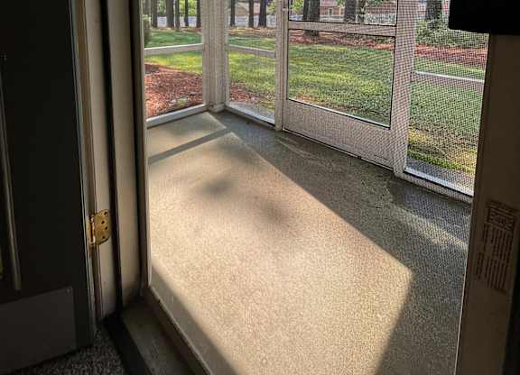 A sunny day in the backyard through the sliding glass doors.