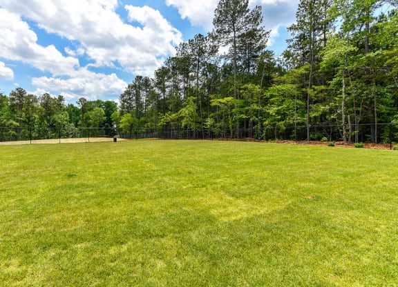 Large grassy off-leash dog park at Carmel Vista, McDonough, GA