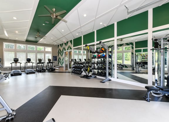 Modern Fitness Center at Carmel Vista, McDonough