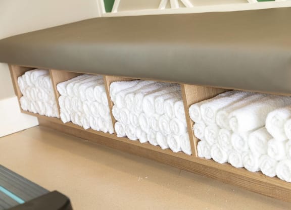 Fitness Center towels at Carmel Vista, McDonough