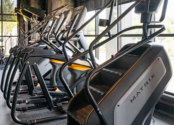a row of cardio machines in a gym