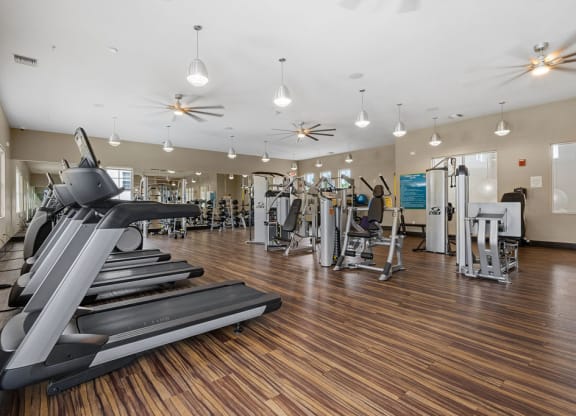 a gym with cardio equipment and weights on a wooden floor at Inspira, Florida, 34113
