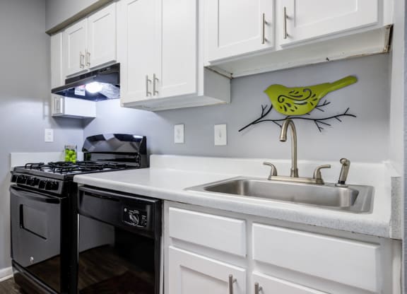 renovated apartment kitchen at Laurel Oaks, North Carolina