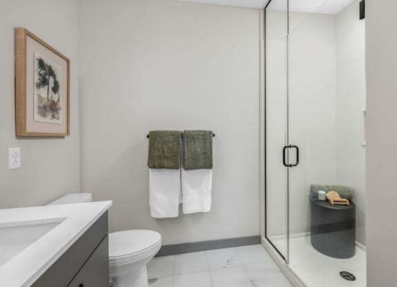 a bathroom with a shower and a sink and a toilet