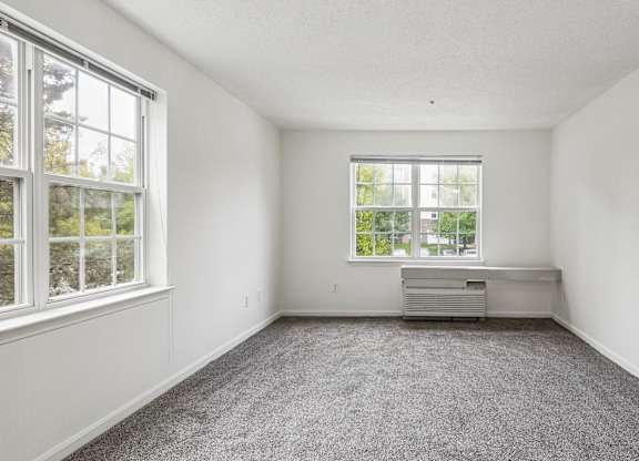 A room with a grey carpet and a window.