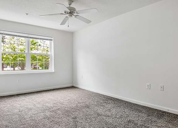 A room with a ceiling fan and a window overlooking a tree-filled yard.