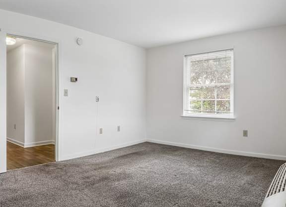 A room with a carpeted floor, a window, and a door.