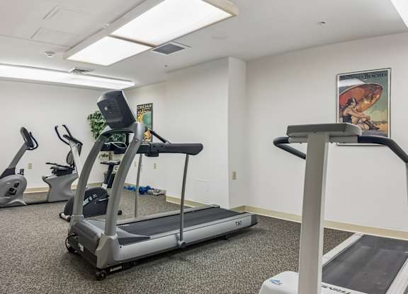 A gym with treadmills, elliptical machines, and a weight machine.