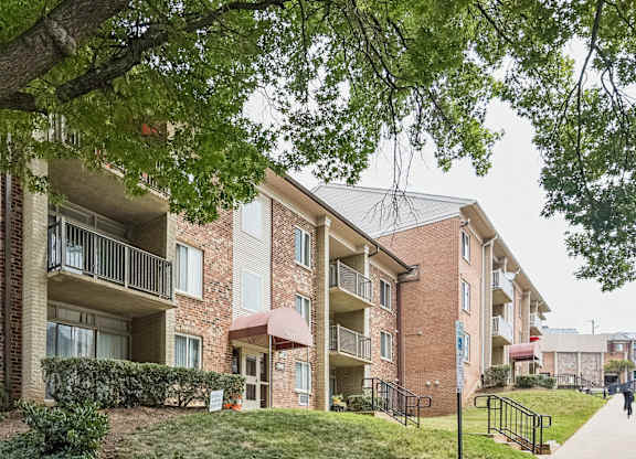 A tree hangs over a walkway in front of apartment buildings.