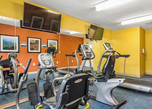 A gym with treadmills, elliptical machines, and other exercise equipment.