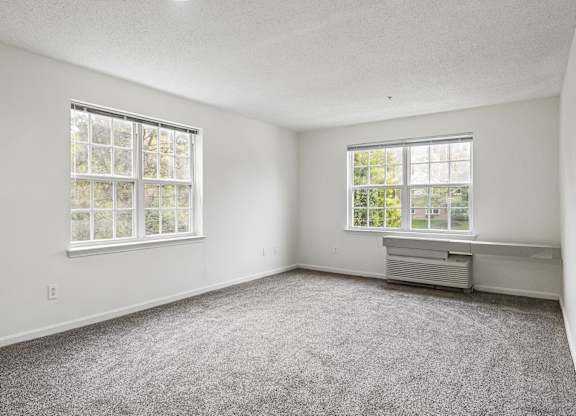 A room with a window and a carpeted floor.