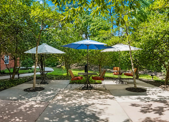 A sunny day at a park with tables and chairs under umbrellas.