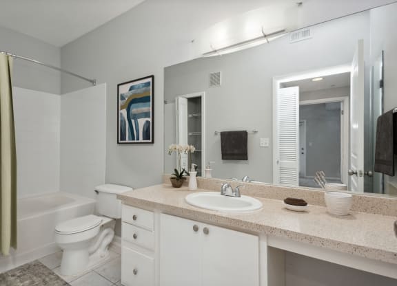 Model Bathroom at The Preserve at Westchase, Tampa, FL 33626