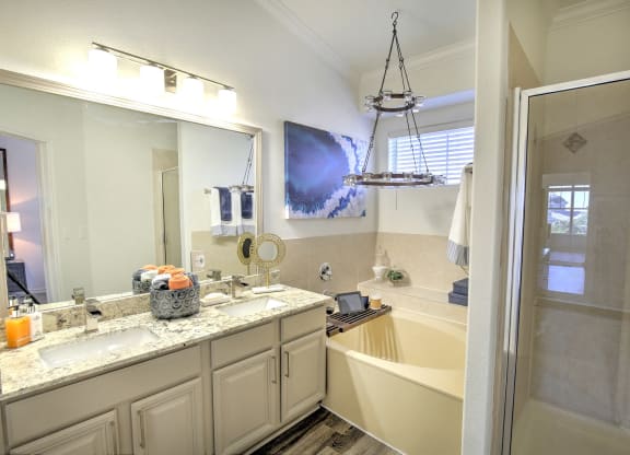 Designer bathroom at Landing at Round Rock, Round Rock, Texas