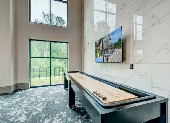 Shuffle Board at Artesia Big Creek, Alpharetta, Georgia