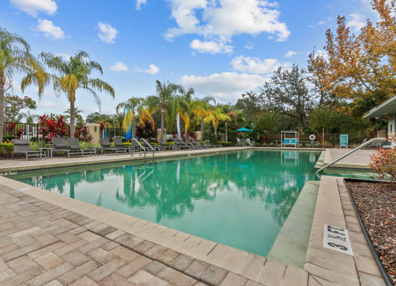 swimming pool  at The Preserve at Westchase, Tampa, Florida