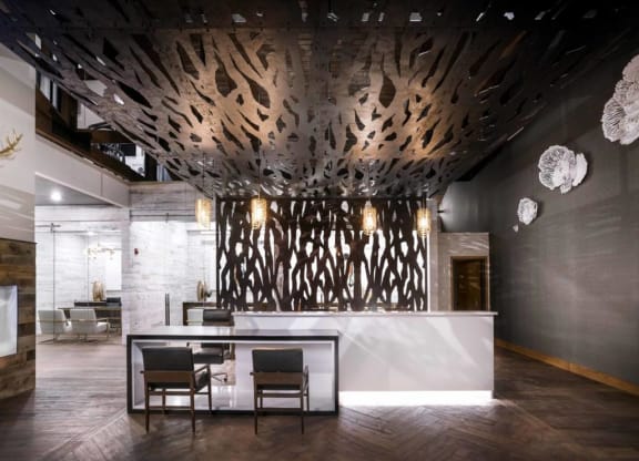 Spacious Reception Area at Montane, Colorado, 80134