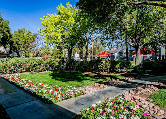 Garden Area at Octave Apartments, Nevada